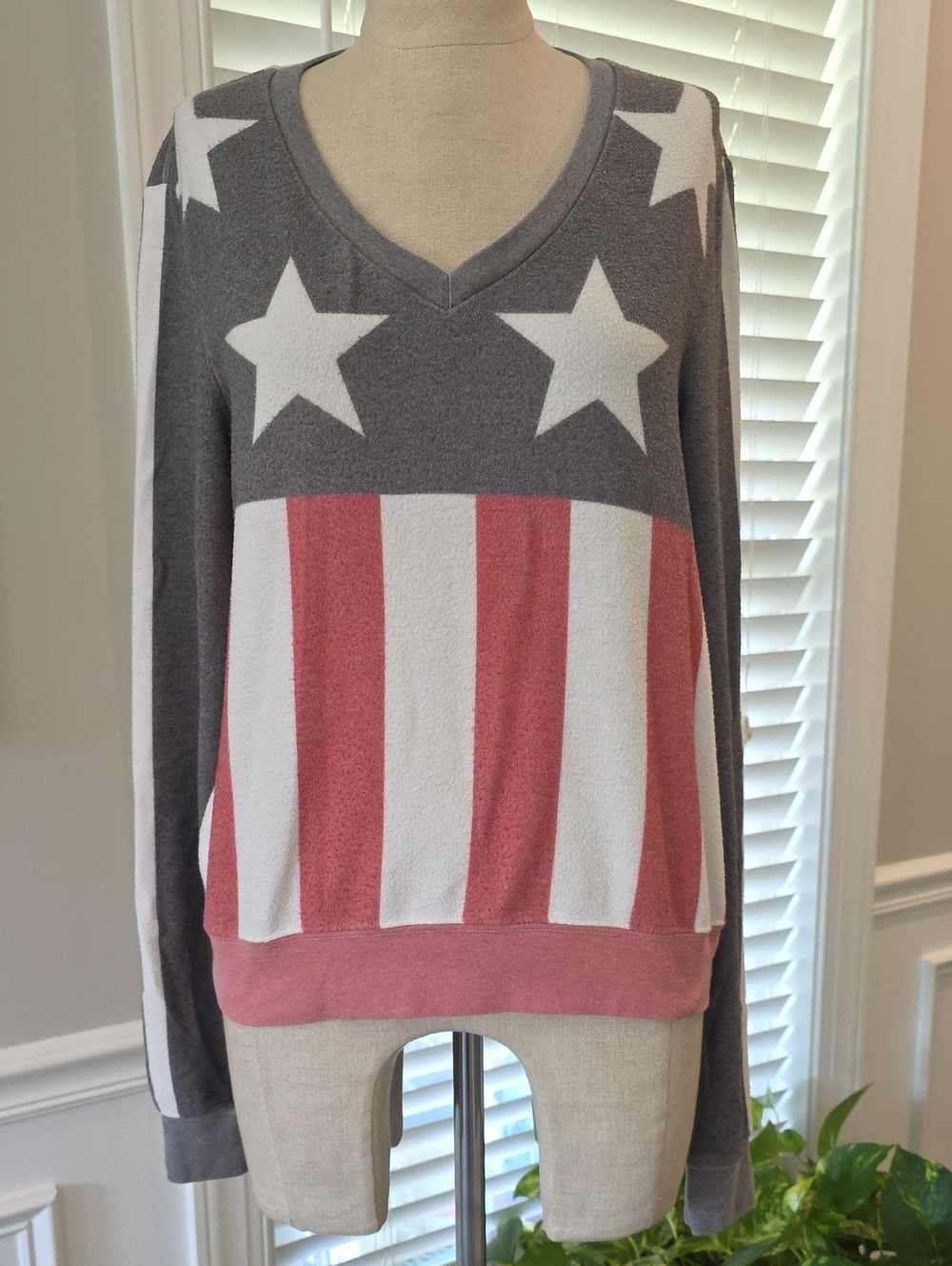 Wildfox Grey, White & Red Star-Stripe V-Neck Pullover